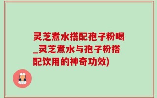 灵芝煮水搭配孢子粉喝_灵芝煮水与孢子粉搭配饮用的神奇功效)
