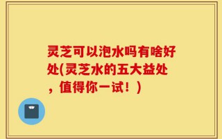 灵芝可以泡水吗有啥好处(灵芝水的五大益处，值得你一试！)