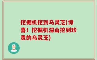挖掘机挖到乌灵芝(惊喜！挖掘机深山挖到珍贵的乌灵芝)