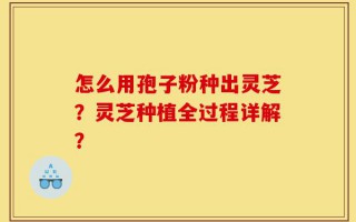 怎么用孢子粉种出灵芝？灵芝种植全过程详解？