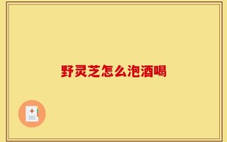 野灵芝怎么泡酒喝