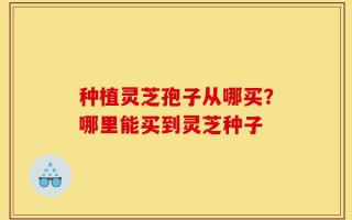 种植灵芝孢子从哪买？哪里能买到灵芝种子