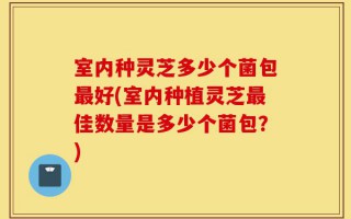 室内种灵芝多少个菌包最好(室内种植灵芝最佳数量是多少个菌包？)