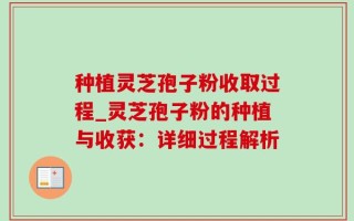 种植灵芝孢子粉收取过程_灵芝孢子粉的种植与收获：详细过程解析