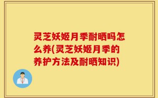 灵芝妖姬月季耐晒吗怎么养(灵芝妖姬月季的养护方法及耐晒知识)