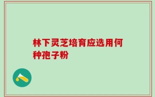 林下灵芝培育应选用何种孢子粉