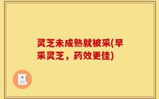 灵芝未成熟就被采(早采灵芝，药效更佳)