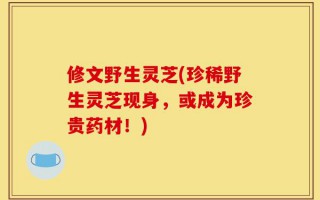 修文野生灵芝(珍稀野生灵芝现身，或成为珍贵药材！)