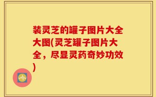 装灵芝的罐子图片大全大图(灵芝罐子图片大全，尽显灵药奇妙功效)