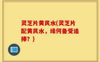 灵芝片黄芪水(灵芝片配黄芪水，缘何备受追捧？)