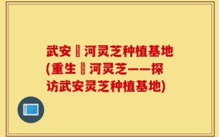 武安洺河灵芝种植基地(重生洺河灵芝——探访武安灵芝种植基地)