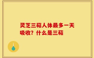 灵芝三萜人体最多一天吸收？什么是三萜