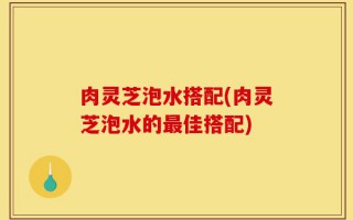 肉灵芝泡水搭配(肉灵芝泡水的最佳搭配)