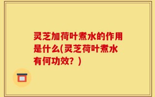 灵芝加荷叶煮水的作用是什么(灵芝荷叶煮水有何功效？)