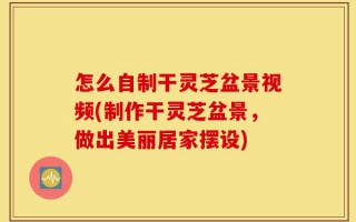 怎么自制干灵芝盆景视频(制作干灵芝盆景，做出美丽居家摆设)