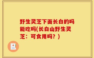 野生灵芝下面长白的吗能吃吗(长白山野生灵芝：可食用吗？)
