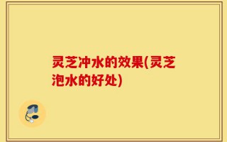 灵芝冲水的效果(灵芝泡水的好处)