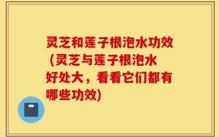 灵芝和莲子根泡水功效 (灵芝与莲子根泡水好处大，看看它们都有哪些功效)