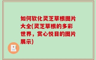 如何软化灵芝草根图片大全(灵芝草根的多彩世界，赏心悦目的图片展示)