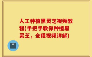 人工种植黑灵芝视频教程(手把手教你种植黑灵芝，全程视频详解)