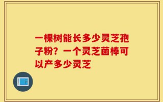 一棵树能长多少灵芝孢子粉？一个灵芝菌棒可以产多少灵芝