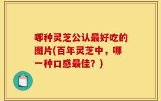 哪种灵芝公认最好吃的图片(百年灵芝中，哪一种口感最佳？)