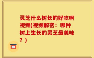 灵芝什么树长的好吃啊视频(视频解密：哪种树上生长的灵芝最美味？)