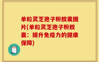 单粒灵芝孢子粉胶囊图片(单粒灵芝孢子粉胶囊：提升免疫力的健康保障)