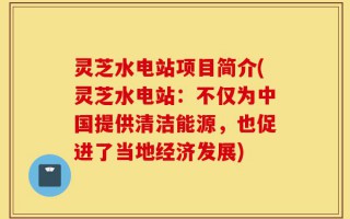灵芝水电站项目简介(灵芝水电站：不仅为中国提供清洁能源，也促进了当地经济发展)