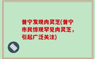普宁发现肉灵芝(普宁市民惊现罕见肉灵芝，引起广泛关注)
