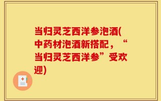 当归灵芝西洋参泡酒(中药材泡酒新搭配，“当归灵芝西洋参”受欢迎)