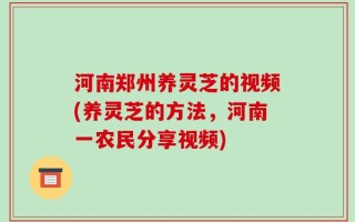 河南郑州养灵芝的视频(养灵芝的方法，河南一农民分享视频)