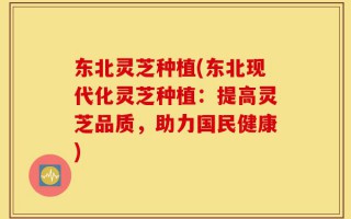 东北灵芝种植(东北现代化灵芝种植：提高灵芝品质，助力国民健康)