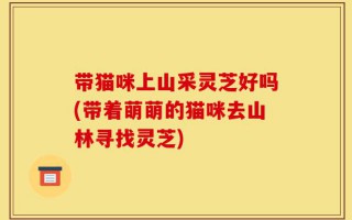 带猫咪上山采灵芝好吗(带着萌萌的猫咪去山林寻找灵芝)