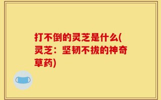 打不倒的灵芝是什么(灵芝：坚韧不拔的神奇草药)