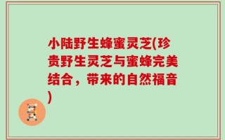 小陆野生蜂蜜灵芝(珍贵野生灵芝与蜜蜂完美结合，带来的自然福音)