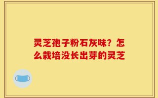 灵芝孢子粉石灰味？怎么栽培没长出芽的灵芝