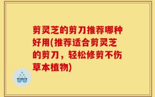 剪灵芝的剪刀推荐哪种好用(推荐适合剪灵芝的剪刀，轻松修剪不伤草本植物)