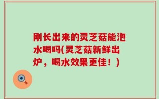 刚长出来的灵芝菇能泡水喝吗(灵芝菇新鲜出炉，喝水效果更佳！)