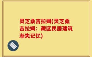 灵芝桑吉拉姆(灵芝桑吉拉姆：藏区民居建筑渐失记忆)