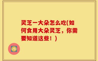 灵芝一大朵怎么吃(如何食用大朵灵芝，你需要知道这些！)