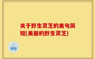 关于野生灵芝的美句简短(美丽的野生灵芝)