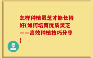 怎样种植灵芝才能长得好(如何培育优质灵芝——高效种植技巧分享)