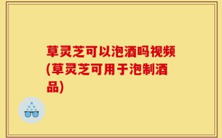 草灵芝可以泡酒吗视频(草灵芝可用于泡制酒品)