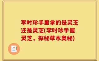 李时珍手里拿的是灵芝还是灵芝(李时珍手握灵芝，探秘草木奥秘)