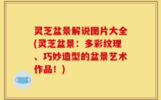 灵芝盆景解说图片大全(灵芝盆景：多彩纹理、巧妙造型的盆景艺术作品！)