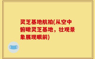 灵芝基地航拍(从空中俯瞰灵芝基地，壮观景象展现眼前)
