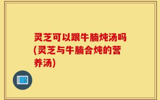灵芝可以跟牛腩炖汤吗(灵芝与牛腩合炖的营养汤)