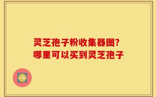 灵芝孢子粉收集器图？哪里可以买到灵芝孢子
