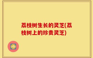 荔枝树生长的灵芝(荔枝树上的珍贵灵芝)